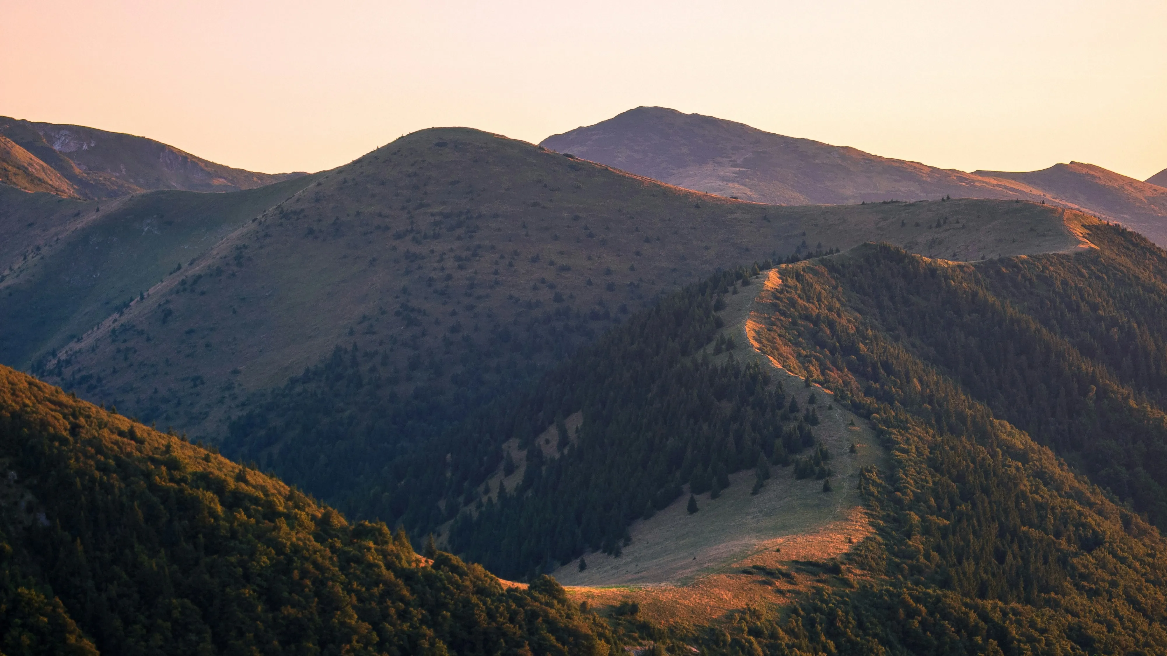 Vue3+TS+Pinia 企业级后台管理系统项目